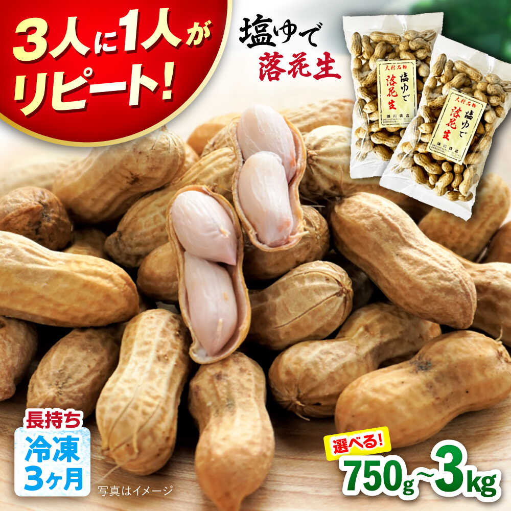 塩ゆで落花生 合計約1140g（380g×3袋） 約1.1kg 大村市 浦川豆店