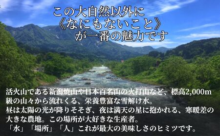 【定期便】コシヒカリ『笑穂志(えぼし)のひかり』5kg×12回 毎月お届け 全60kg（紙袋入り）令和5年産 U'ファーム【米 お米 白米 こめ コメ こしひかり 新潟県 糸魚川産 2023年産 食品