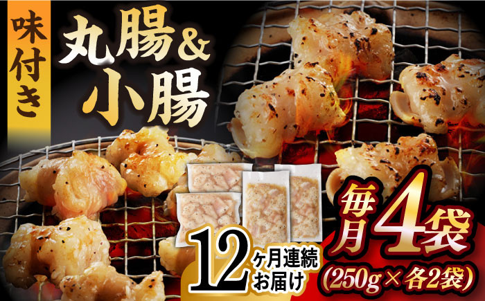 
【全12回定期便】【塩だれ】 九州産和牛 ホルモン 2種 計1kg（ 小腸 250g×2袋・ 丸腸 250g×2袋） 長与町/岩永ホルモン [EAX157] ホルモン焼き 国産 牛肉 ホルモン ミックス 小分け 味付き 冷凍 焼肉 焼き肉 和牛 塩 しお 牛 定期便 ていきびん 定期
