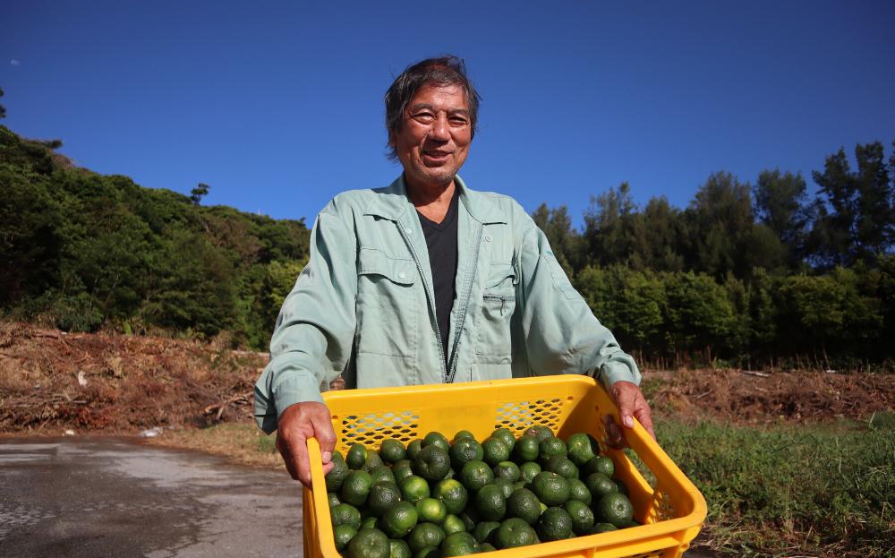 【先行予約/10月発送】国頭村産 島みかん「カーブチー」3kg	