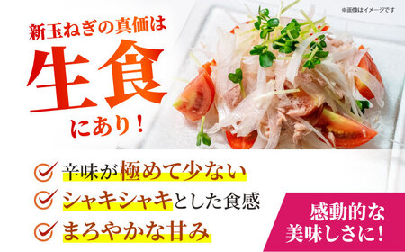 【先行予約】 新玉ねぎ 5kg 【吉祥】[HDG015]