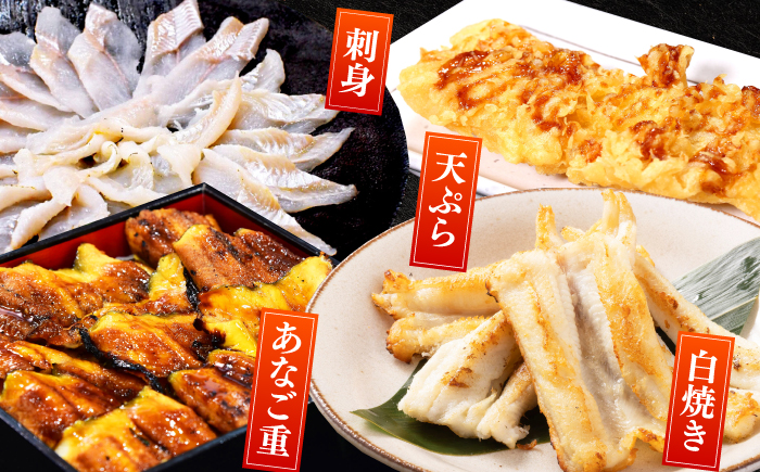 【対馬西沖あなご堪能セット】 刺身120g 開き500g×2 《対馬市》【すし処慎一】 あなご 国産 肉厚 穴子 アナゴ 新鮮 鮮魚 冷凍 [WCO006]
