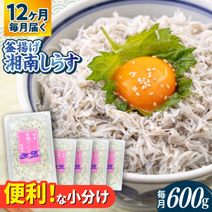 【ふるさと納税】【全12回定期便】釜揚げ 湘南しらす 600g 小分け 120g×5パック / しらす 湘南 ふわふわ 食感 冷凍 国産 シラス お取り寄せ 人気 佐島 横須賀 かながわブランド 神奈川県【平敏丸】[AKEZ007]