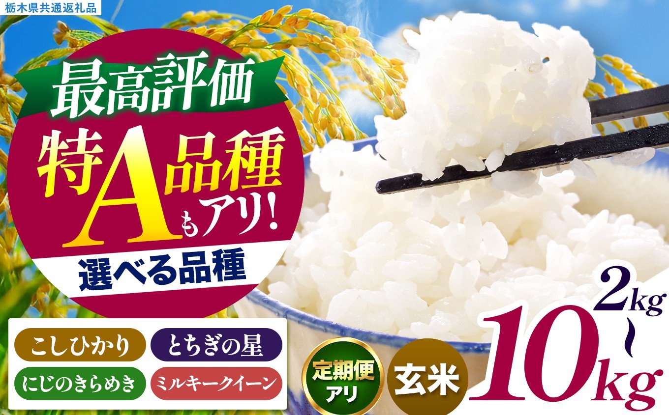 
                  いちご農家さん応援米！ 訳あり 令和7年度産 玄米 選べる 銘柄 容量  約2kg～10kg こしひかり とちぎの星 にじのきらめき ミルキークイーン | 真岡市産 訳あり 米  お米 こめ 玄米 ご飯 ごはん もちもち コシヒカリ にじきら みるきーくいーん 限定 ふるさと納税 栃木県 真岡市 送料無料 
                