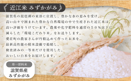 近江米　みずかがみ　白米５㎏ 令和5年産 BD07	