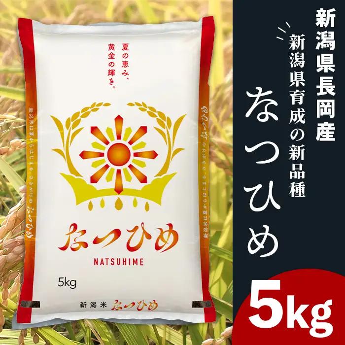 48-8H051新潟県長岡産なつひめ5kg