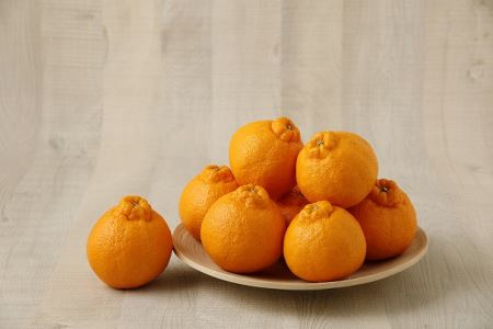 S040-010A_農家の手摘み不知火 約3kg〈先行受付〉/ 不知火 柑橘 みかん フルーツ 果物