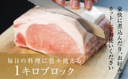 国産 豚肉 ブロック 肩ロース・バラ 食べ比べ 1kg×2 計2kg 田原ポーク  | 豚肉 ブロック肉 豚肉 ブロック肉 豚肉 ブロック肉 豚肉 ブロック肉