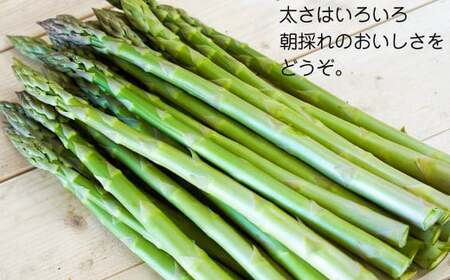 北海道産アスパラと季節の有機野菜セット 【2026年4月下旬～8月下旬迄発送予定】 北海道 北広島市 野菜セット アスパラ 有機野菜 