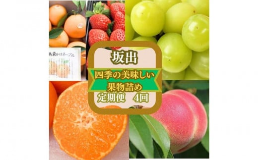 
＜定期便＞四季の美味しい果物詰め　年間４回に分けてお届け！
