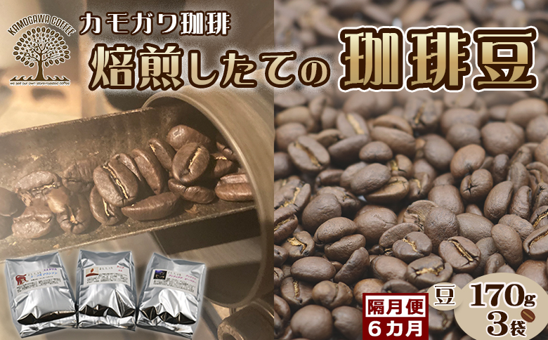 【カモガワ珈琲の定期便】焙煎したてのコーヒー豆 ３種（170g×３袋）６カ月《豆・隔月発送》　[0103-0001]