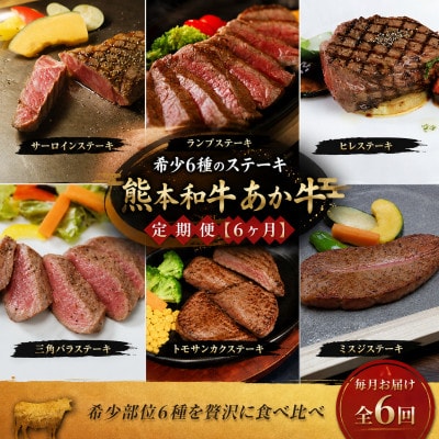 【毎月定期便】熊本和牛あか牛希少6種のステーキ 定期便【6ヶ月】(阿蘇市)全6回【配送不可地域：離島】【4088559】