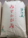 【ふるさと納税】【令和6年産】環境こだわり米「みずかがみ」玄米【30kg×1袋】 ふるさと納税 米 30kg 玄米