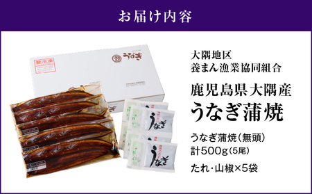 【 土用の丑の日特集 】4001 鹿児島県大隅産 うなぎ蒲焼 5尾（500g） KN007-005-03 うなぎ 鰻 魚 惣菜 総菜