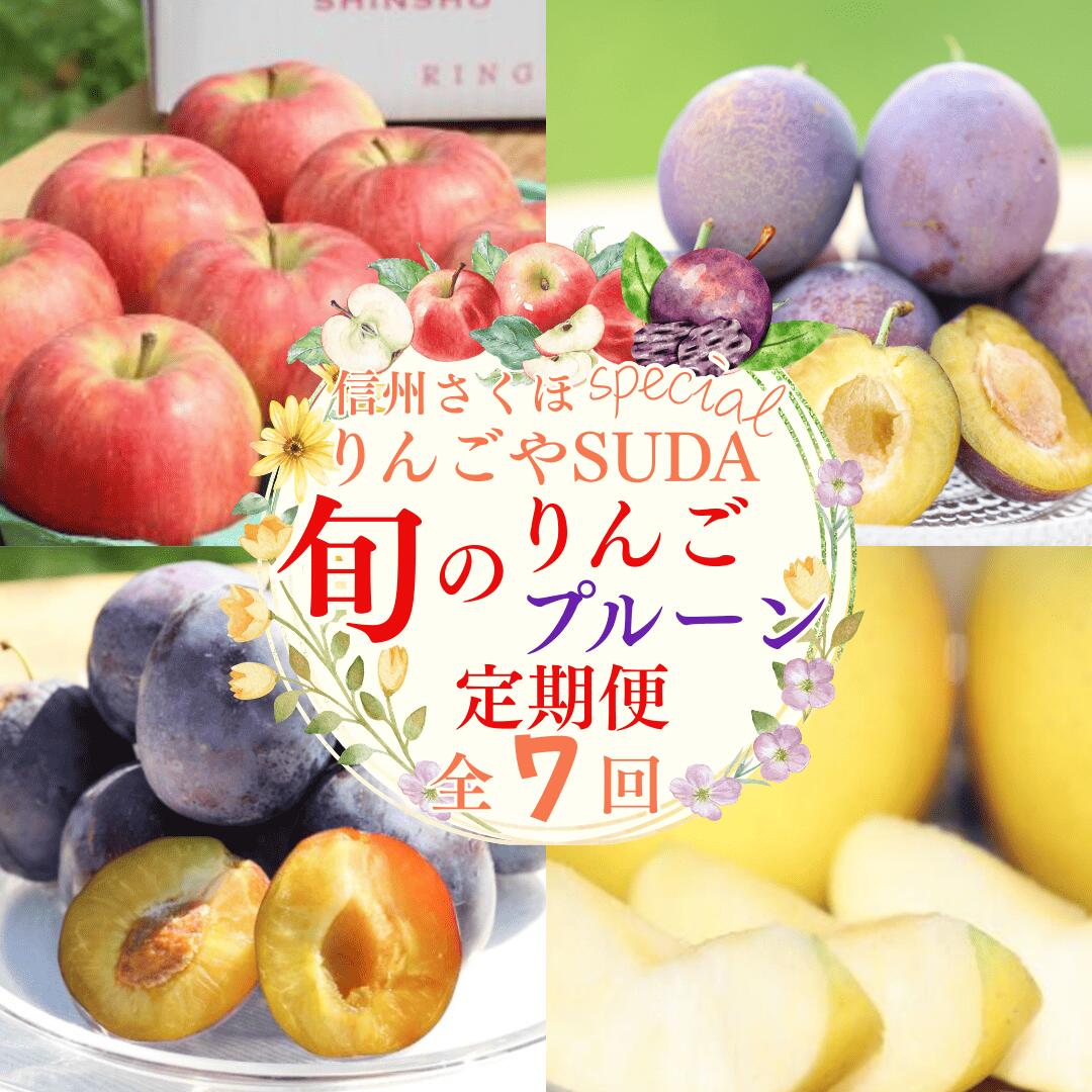 【ふるさと納税】予約便・2026年発送　定期便全7回　旬のりんご・生プルーン・ジュースセット（RS-T503）