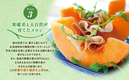 【先行予約】旭川発！北海道の赤肉メロン2玉（1玉標準 1.3kg以上）(2024年6月下旬より発送開始予定)