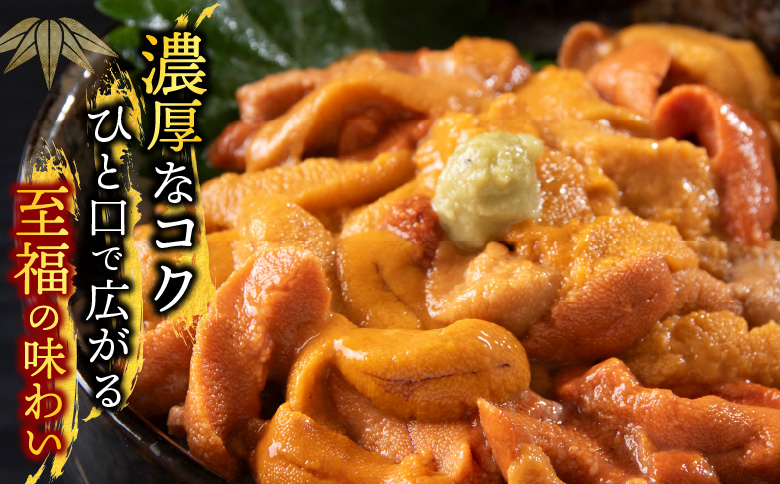 バフンウニ(赤系)塩水パック95～105g×2P[10月中旬以降発送] B-74002