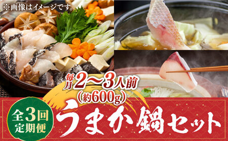 【先行予約】【全3回定期便】 《1・2・3月お届け》うまか鍋セット 2から3人前（約600g） 【2027年1月以降順次出荷 】《壱岐市》【魚助】 鍋 くえ クエ ブリ ぶり 鰤 鯛 たい タイ クエ鍋 ブリしゃぶ [JFX003]