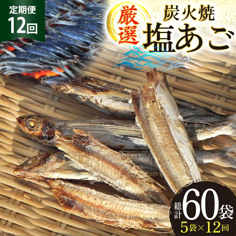 【ふるさと納税】干物 炭火焼 塩あご 炭火で焼いた塩あご 3尾入り×5袋 12回 定期便 [マルイ水産商事 長崎県 平戸市 hr42bgy420729] だし 出汁 あごだし アゴ 焼あご 飛魚 ギフト 生月島