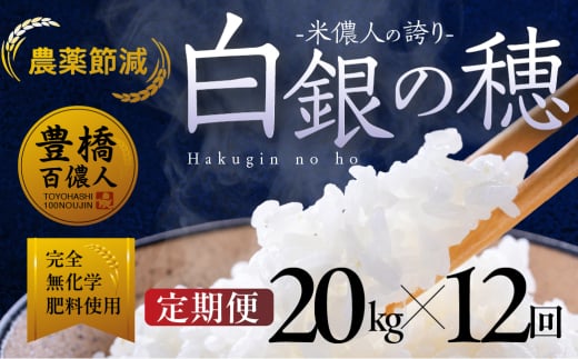 【定期便】米儂人の誇り 白銀の穂 20kg×12回 お米 おこめ 米 コメ kome 令和7年