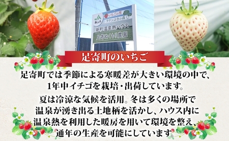 十勝足寄産 いちごジャム（赤・白）140g 2個セット