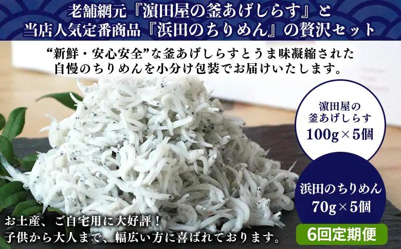 ＜老舗網元 濵田屋セレクト 釜あげしらす＆ちりめん (合計850g) 6回定期便＞ 『お申込み月の翌月より配送開始』 釜揚げ シラス じゃこ 海鮮 海産物 丼 おにぎり 具材 ご飯 おつまみ おやつ 