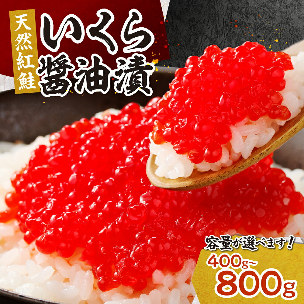 【ふるさと納税】 いくら 醤油漬け 【 選べる 容量 】 400g 600g 800g 天然 紅鮭 紅色粒 小分け 特製ダレ 味付き ikura 鮭 サケ シャケ イクラ 魚卵 鮭卵 海鮮 魚介 イクラ丼 おつまみ おかず ご飯のお供 冷凍 北海道 札幌市