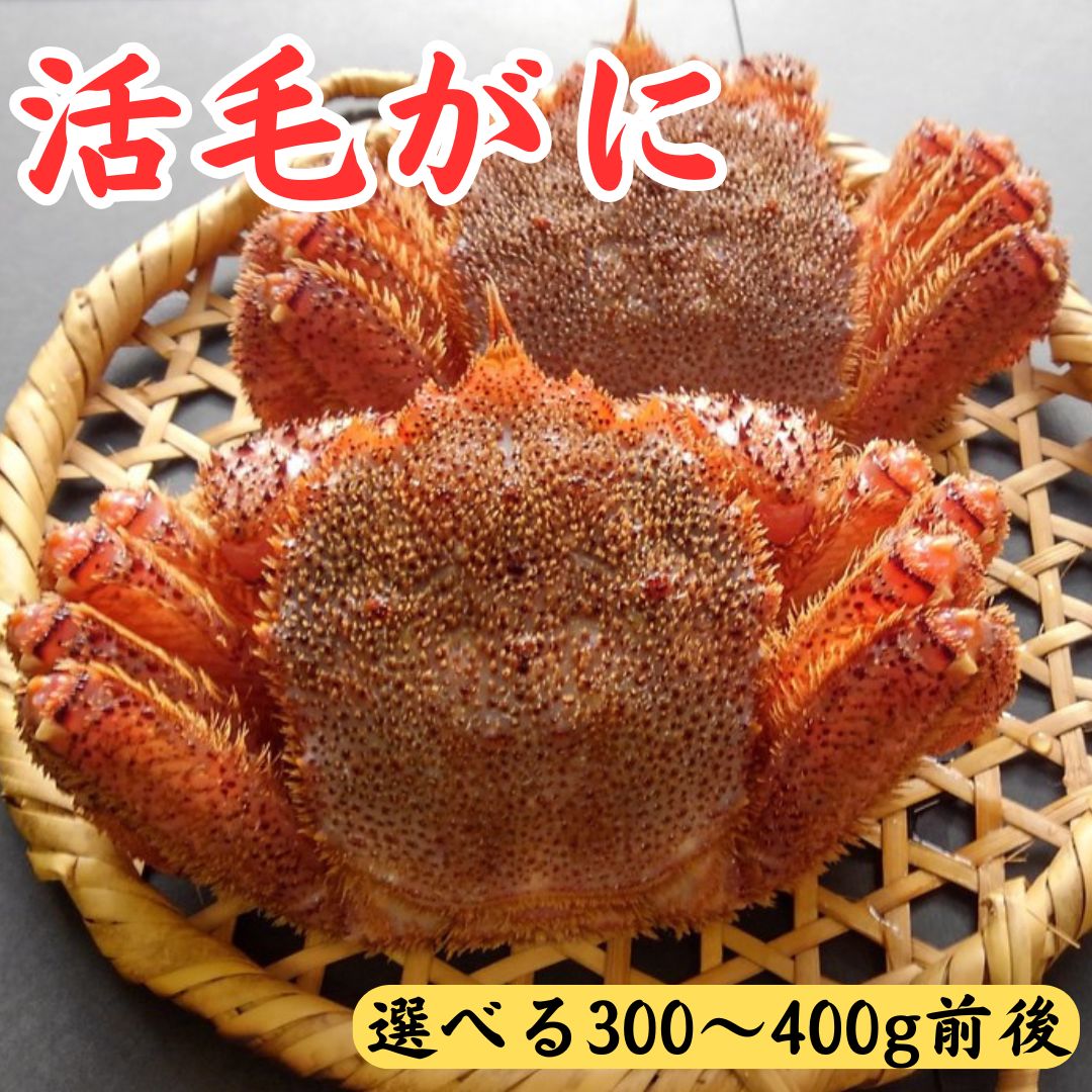 【ふるさと納税】獲れたてを直送！種市産活毛がに 選べる300～400g前後 / 2杯 / 4杯 天然 冷蔵 三陸 蟹 カニ