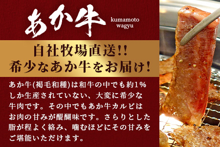 あか牛 カルビ 焼肉用 400g (あか牛のたれ200ml付き) 焼肉 BBQ アウトドア 牛肉 熊本県産 褐毛和種 046-0457