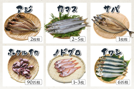 訳あり・干物／京都・京丹後の地元魚屋が作ったお任せ干物セット（冷凍） 3種＜不揃い・訳あり品＞干物セット・干物詰め合わせ・ひもの・ひもの