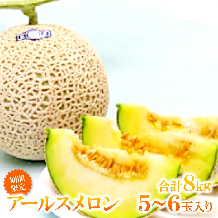 【ふるさと納税】 先行予約 アールスメロン 8kg 5〜6玉 果物 フルーツ メロン 夏作 季節限定 期間限定 特産品 お取り寄せ グルメ