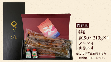 【 麻布しき 】 国産 鰻 蒲焼 × 4尾 うなぎ ウナギ 冷凍 おいしい 蒲焼き かばやき たれ焼き 土用 丑の日 鹿児島 無頭 タレ 山椒 付 縁起 敬老の日 名店 老舗