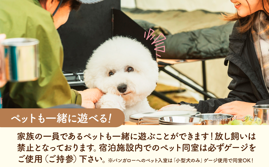 那珂川ステーション キャンプ・バンガロー補助券 15,000円分 |  キャンプ バンガロー 宿泊 宿 那珂川 清流 川下り ダウンリバー オートキャンプ那珂川ステーション 栃木県 茂木町