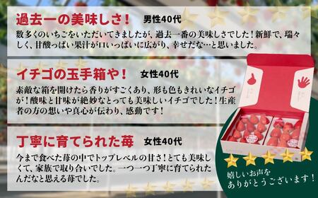 【いちご】3ヶ月定期便 やよいひめ いちご 800g×3回