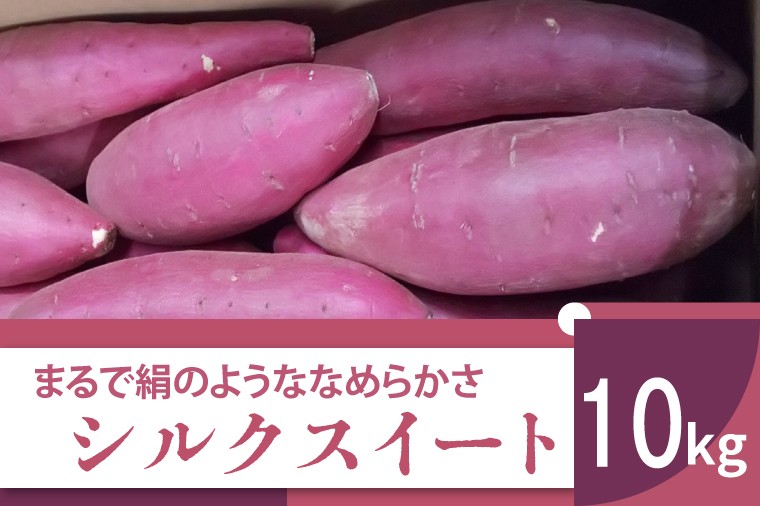 
                  【先行予約】【11月より順次発送】2026年度産 まるで絹のようななめらかなさつまいも シルクスイート 約10kg｜さつまいも 芋 お芋 シルクスイート 渋谷農園 先行予約 茨城県 行方市(BZ-20)
                