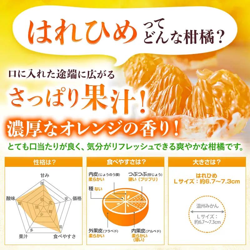【先行予約】はれひめ（3kg）