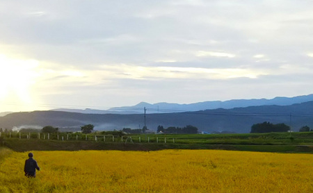 Riki-saku コシヒカリ　2Kg×2袋【アフコ・秋山農場のPB米】