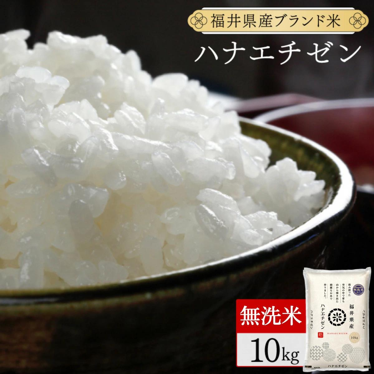 【定期便3回】福井県産 ハナエチゼン 無洗米 10kg（10kg×1）＜令和7年産 新米 数量限定 ＞【米 コメ お米 精米 白米 無洗米 玄米 ご飯 飯 華越前 ブランド米 国産】[095-t3-a018]【敦賀市ふるさと納税】