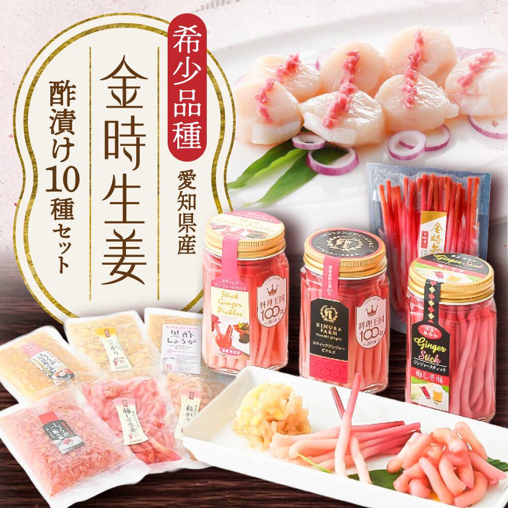 【ふるさと納税】金時生姜 酢漬け 10種セット / 生姜 酢漬け 漬物 ピクルス おつまみ ギフト / 稲沢市 / 有限会社木村農園[BMBN002]