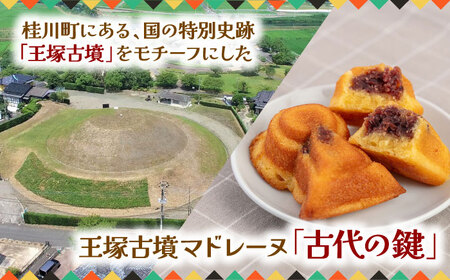 王塚古墳マドレーヌ(12個入り)(王塚古墳のある町桂川町)