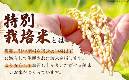 比田米 特別栽培コシヒカリ(精米)2kg【令和7年産 米 お米 こしひかり ごはん ご飯 有機肥料 国産】