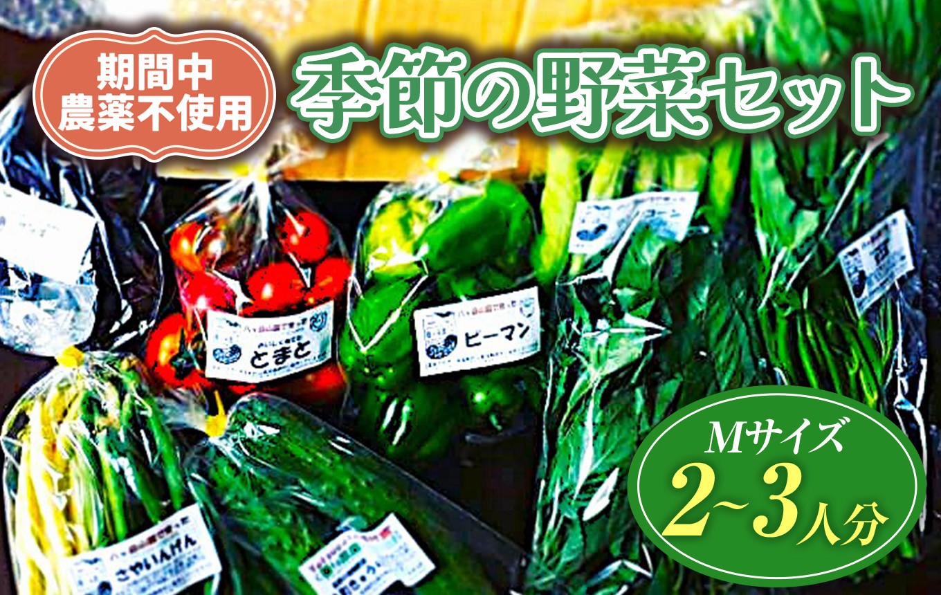 
                  【栽培期間中農薬不使用・無化学肥料・無家畜性肥料で育てた】 季節の 野菜セット ( Mサイズ )【2026年8月上旬～発送】| 旬 野菜 10種類前後 2～3人分 セット シードマイスター 農薬不使用 無化学肥料 無家畜性肥料 信州 八ヶ岳 長野県 諏訪郡 原村
                
