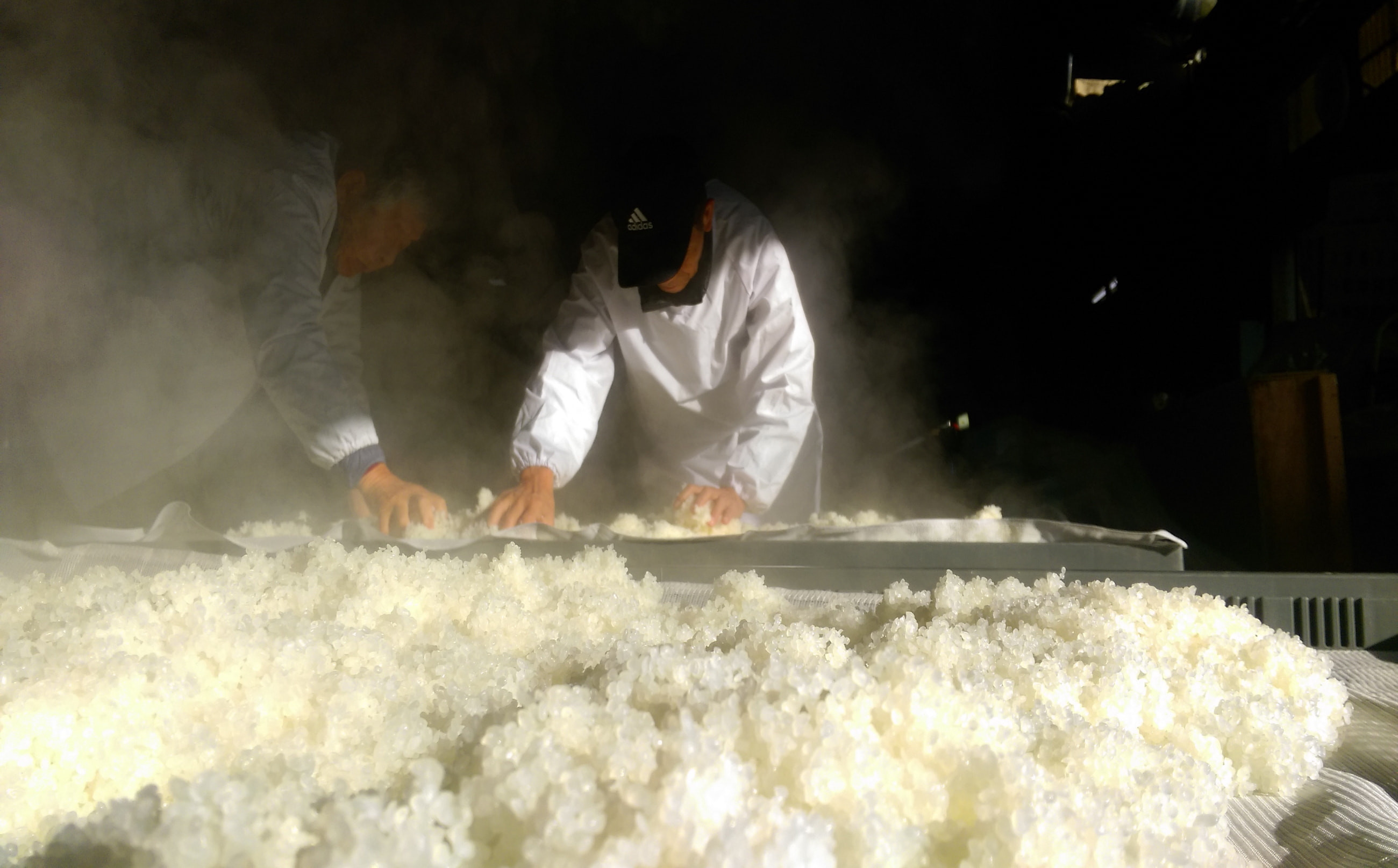 矢野酒造9代目 蔵元杜氏の矢野元英さん