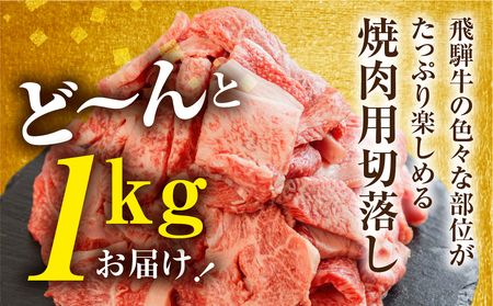 【2週間～発送】 訳あり 飛騨牛 焼き肉用 1㎏ 切り落とし 牛肉 肉 バーベキュー セット 和牛 焼肉 訳アリ 部位おまかせ ウデ バラ モモ肉 25000円 [S201]