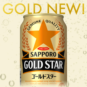 ゴールドスター 500ml×24本 (a17-132)