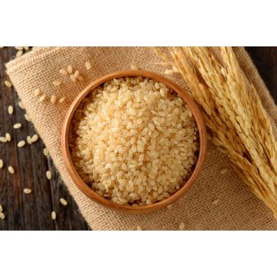 ふるさと納税 長沼町 【先行予約】特別栽培米 【令和7年産】北海道産ゆめぴりか 5kg　玄米 |  | 03