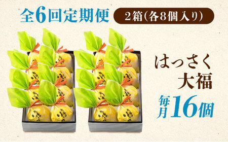 【6回定期便】はっさく大福8個入×2 [BADH027]大福