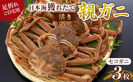 121.【先行予約】【活き】 訳あり 足折れ ご自宅用 日本海　獲れたて親ガニ（ セコガニ ）3枚 ※2025年11月上旬～12月下旬頃に順次発送予定 | セコガニ 蟹