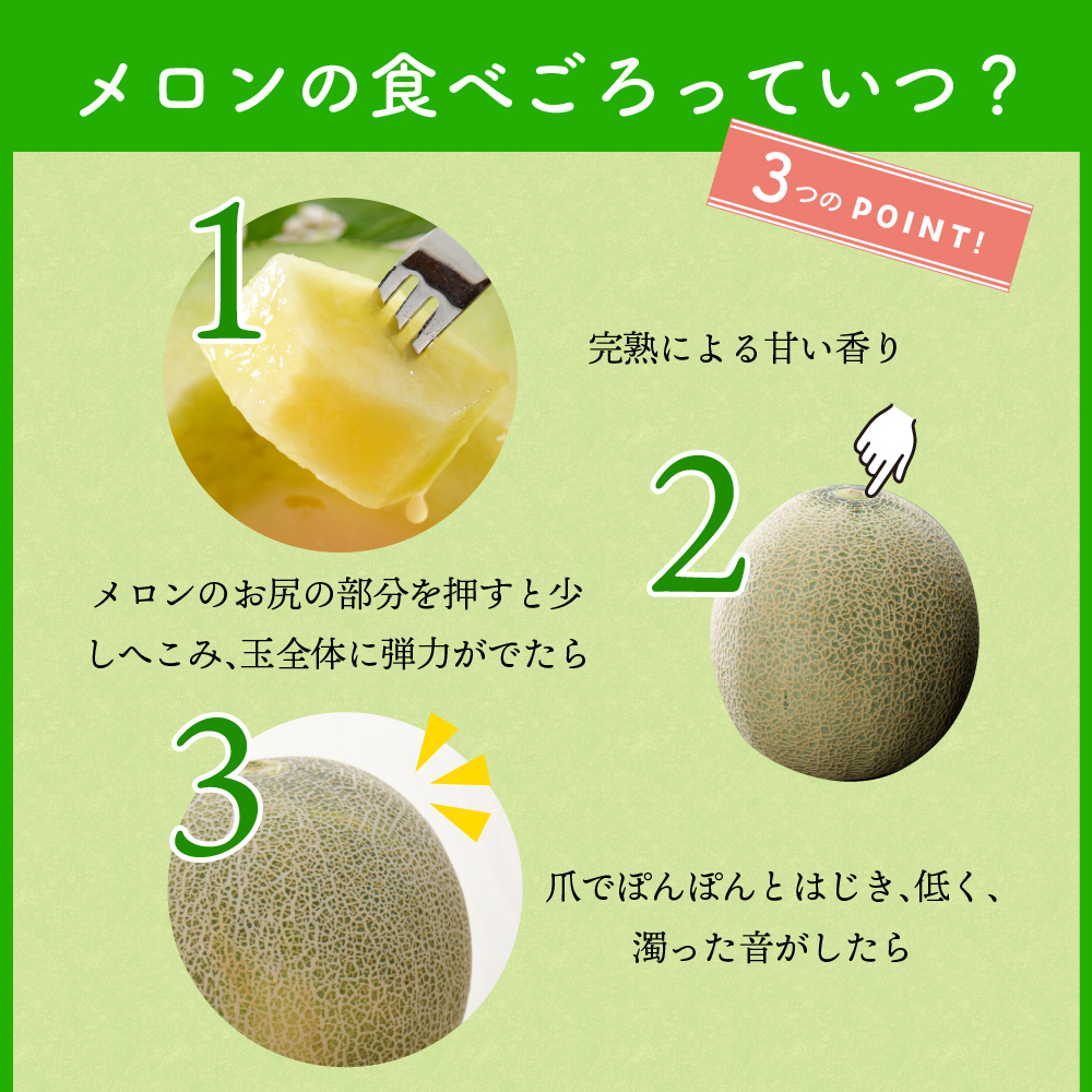【2026年7月後半発送】最高等級秀品 メロン 東日流グリーン 緑肉 大玉2玉 青森産