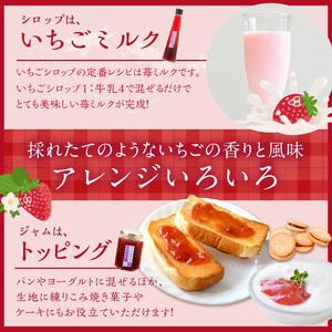 いちごのまんまセット(いちごジャム×2本・いちごシロップ1本)《 おすすめ 人気 おいしい くだもの ジャム いちご イチゴ 苺 フルーツ 国産 送料無料 》【2401K09705】